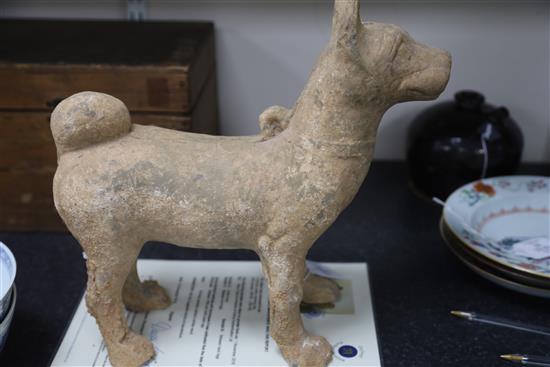 A Chinese Sichuan pottery model of a standing dog standing, Han dynasty (206BC - 220AD), L.33cm H.32.5cm